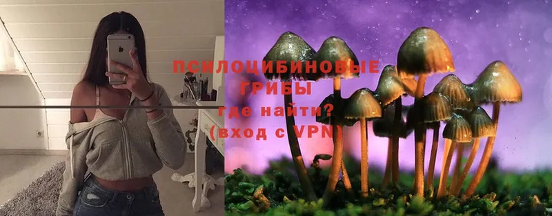 Галлюциногенные грибы Psilocybine cubensis  наркошоп  Набережные Челны 